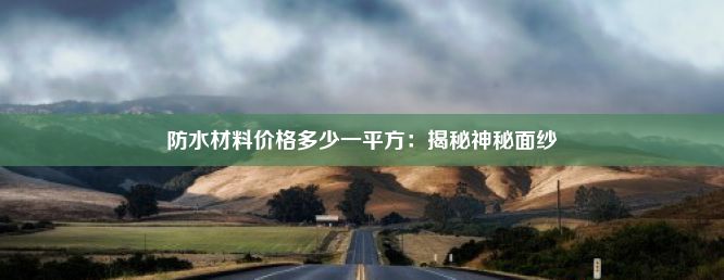 防水材料价格多少一平方：揭秘神秘面纱