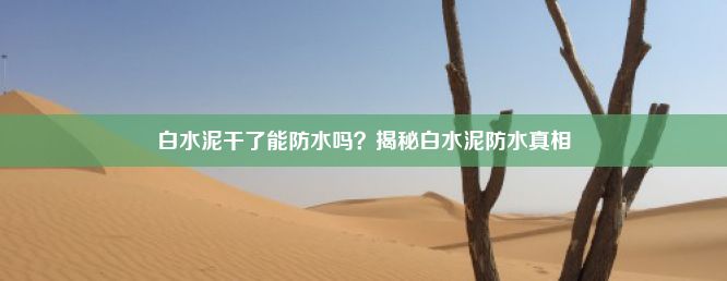 白水泥干了能防水吗？揭秘白水泥防水真相