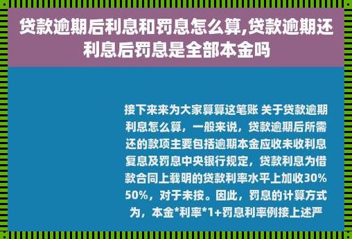 逾期罚息利率标准规定：探析与启示