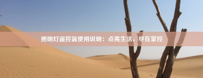 照明灯遥控器使用说明：点亮生活，尽在掌控