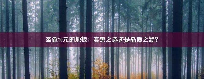 圣象70元的地板：实惠之选还是品质之疑？