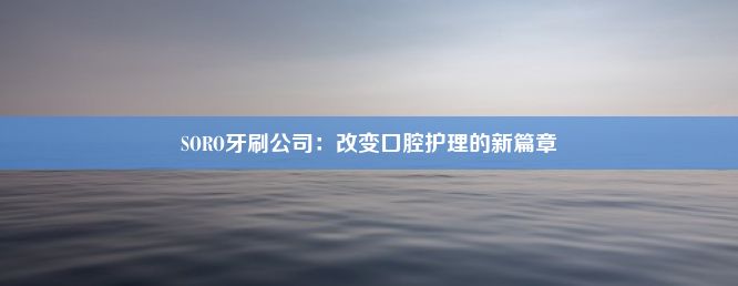 SORO牙刷公司：改变口腔护理的新篇章