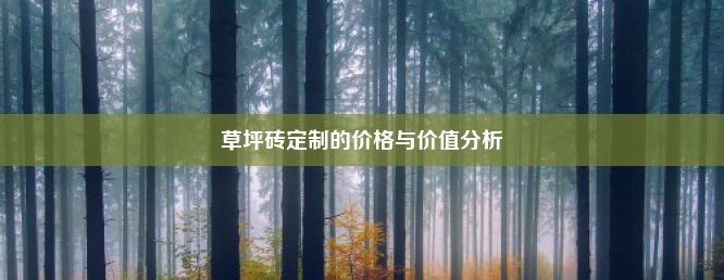 草坪砖定制的价格与价值分析