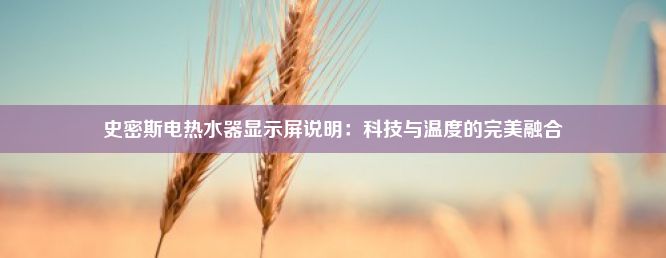 史密斯电热水器显示屏说明：科技与温度的完美融合