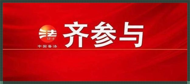 民法典272条关于装修的规定：深入解析与探讨