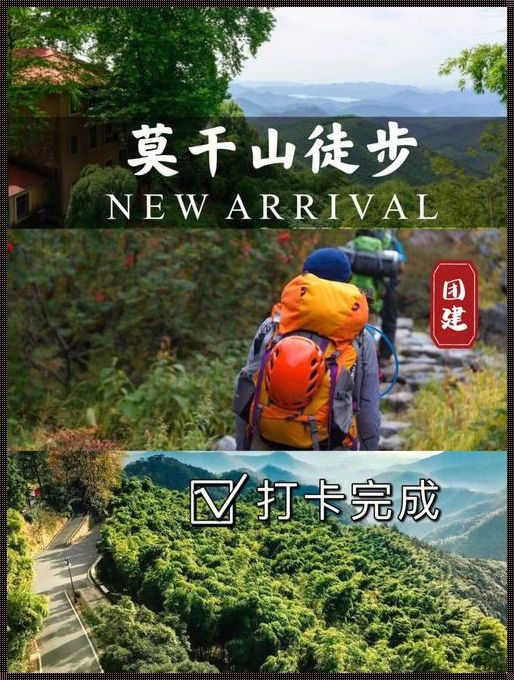 莫干山和千山哪个牌子好：一场品牌的较量