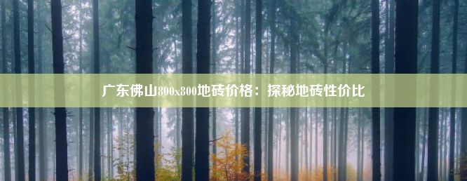 广东佛山800x800地砖价格：探秘地砖性价比