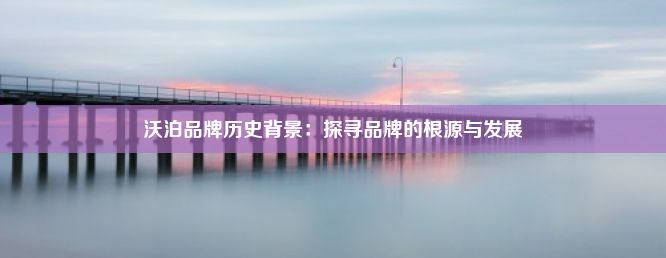 沃泊品牌历史背景：探寻品牌的根源与发展