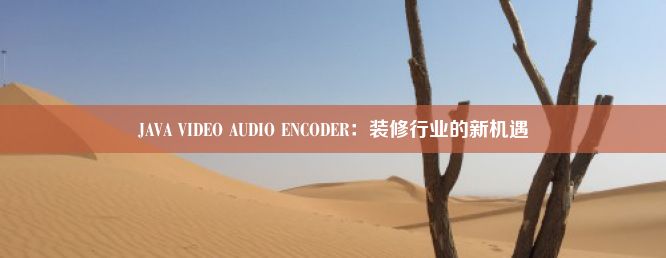 JAVA VIDEO AUDIO ENCODER：装修行业的新机遇