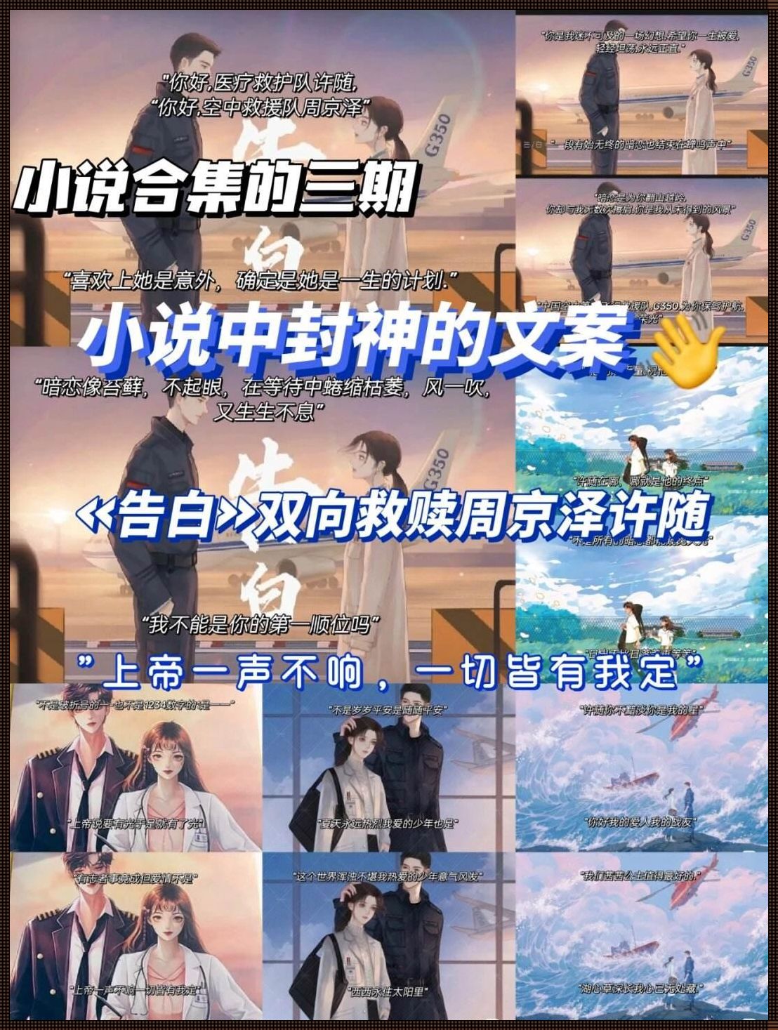 公交韵云和小健的小说终极幻想：一段装修行业的奇妙旅程