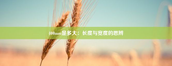 400mm是多大：长度与宽度的思辨