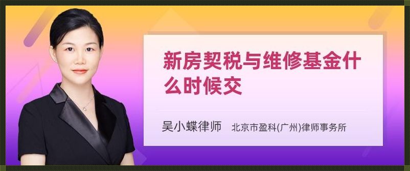 维修基金和契税哪个先交：购房后的首要决策