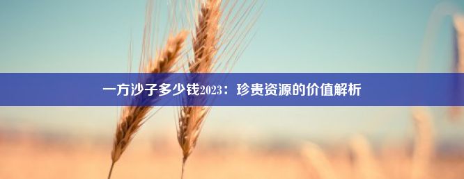 一方沙子多少钱2023：珍贵资源的价值解析