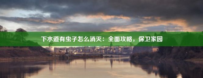 下水道有虫子怎么消灭：全面攻略，保卫家园