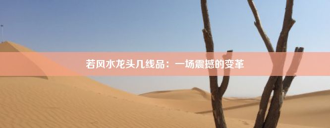 若风水龙头几线品：一场震撼的变革