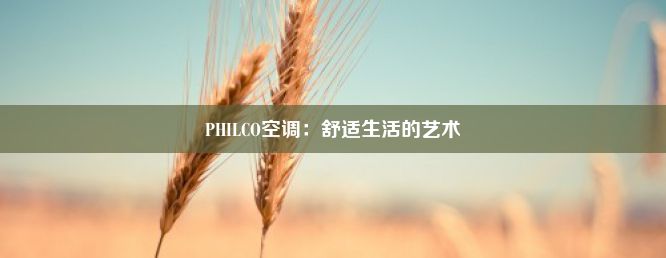 PHILCO空调：舒适生活的艺术