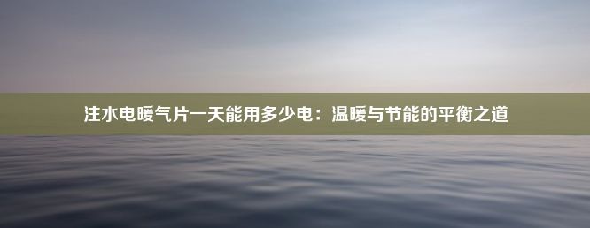 注水电暖气片一天能用多少电：温暖与节能的平衡之道