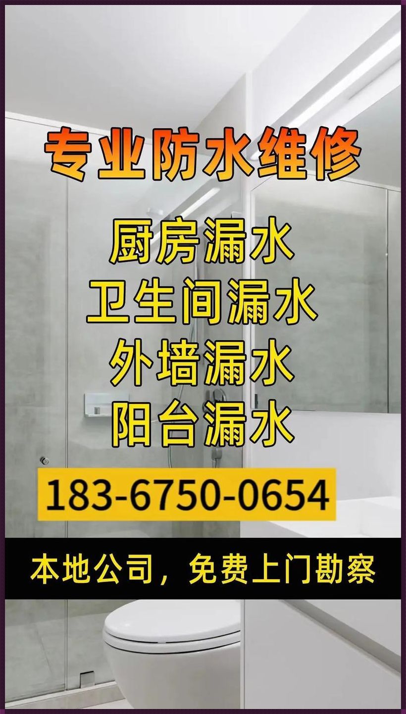 房屋漏水司法鉴定是由谁做：深入解析与情感思考