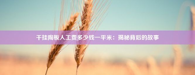 干挂陶板人工费多少钱一平米：揭秘背后的故事