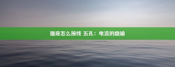 插座怎么接线 五孔：电流的隐喻