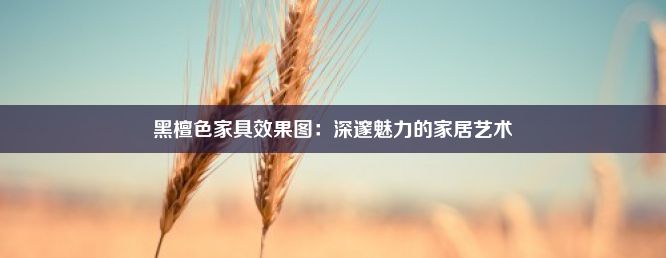 黑檀色家具效果图：深邃魅力的家居艺术