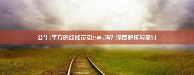 公牛1平方的线能带动2500w吗？深度解析与探讨