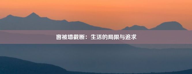 窗被墙截断：生活的局限与追求