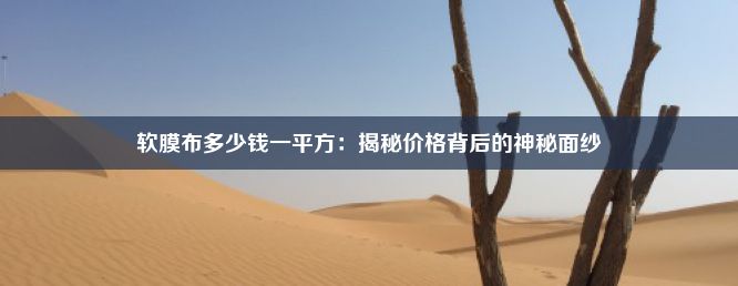 软膜布多少钱一平方：揭秘价格背后的神秘面纱