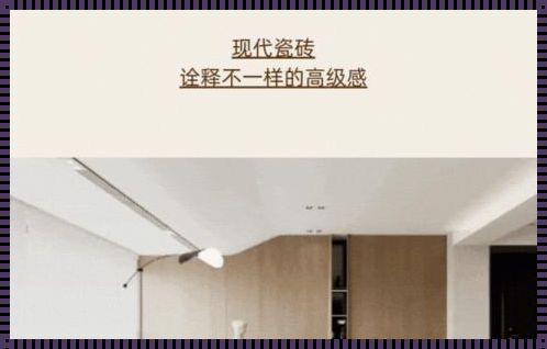 狮王瓷砖7515068的价格：品质与价值的完美结合