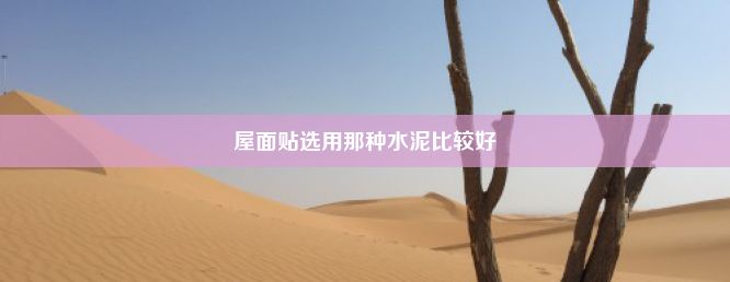 屋面贴选用那种水泥比较好