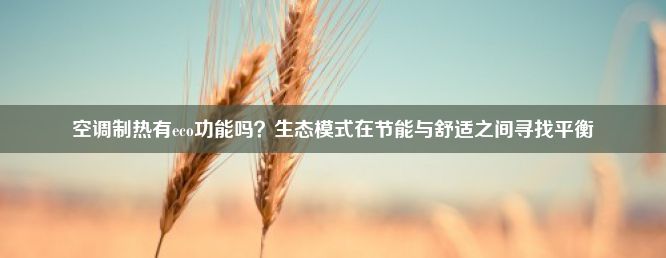 空调制热有eco功能吗？生态模式在节能与舒适之间寻找平衡