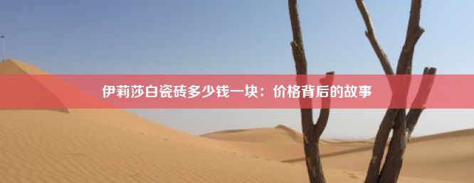 伊莉莎白瓷砖多少钱一块：价格背后的故事