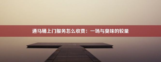 通马桶上门服务怎么收费：一场与臭味的较量