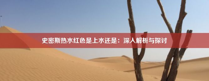 史密斯热水红色是上水还是：深入解析与探讨