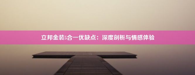 立邦金装5合一优缺点：深度剖析与情感体验