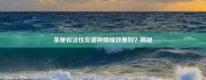 茶梗和活性炭哪种除味效果好？揭秘