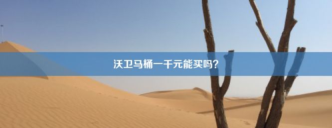 沃卫马桶一千元能买吗？