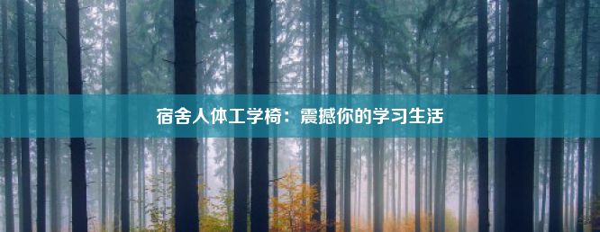 宿舍人体工学椅：震撼你的学习生活