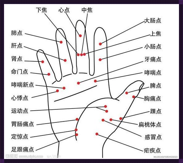 紫口铁足名词解释：探究惊现的史无前例