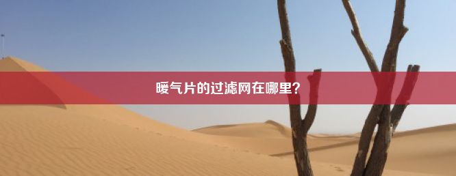 暖气片的过滤网在哪里？