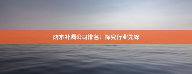 防水补漏公司排名：探究行业先锋