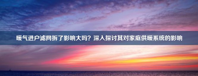 暖气进户滤网拆了影响大吗？深入探讨其对家庭供暖系统的影响