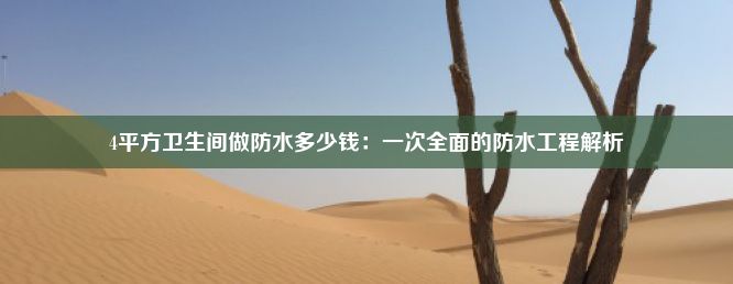 4平方卫生间做防水多少钱：一次全面的防水工程解析