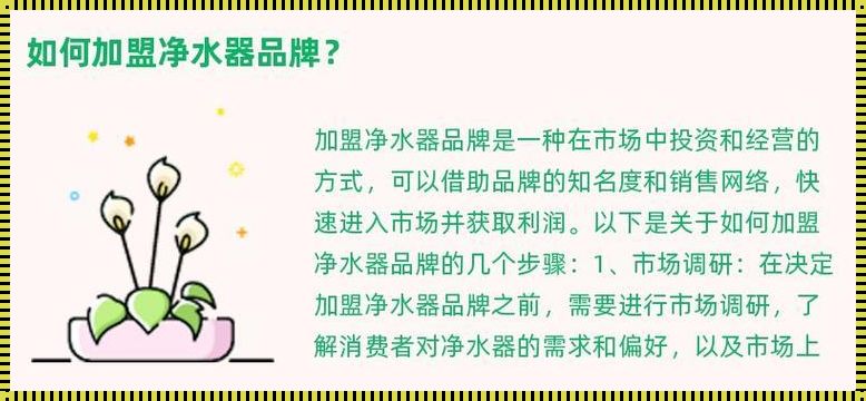 朗诗德代理一个月能挣多少钱：惊现财富新机遇