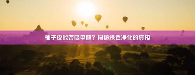 柚子皮能否吸甲醛？揭秘绿色净化的真相