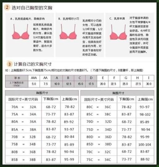 16c代表什么意思