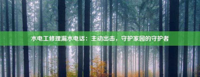 水电工修理漏水电话：主动出击，守护家园的守护者