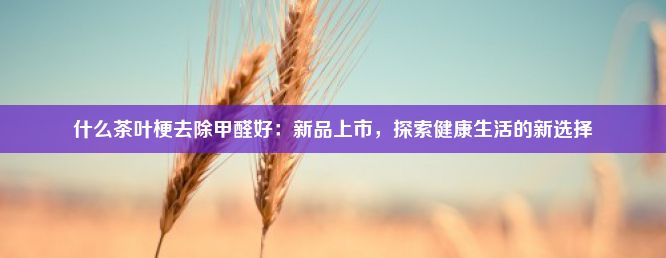 什么茶叶梗去除甲醛好：新品上市，探索健康生活的新选择