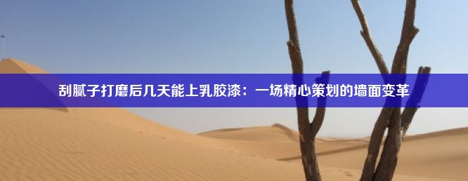 刮腻子打磨后几天能上乳胶漆：一场精心策划的墙面变革