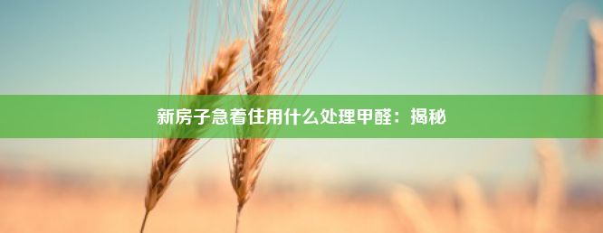 新房子急着住用什么处理甲醛：揭秘